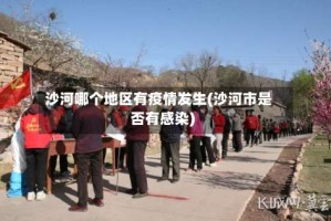 沙河哪个地区有疫情发生(沙河市是否有感染)