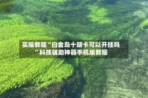 实操教程“白金岛十胡卡可以开挂吗”科技辅助神器手机版教程