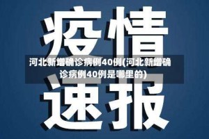 河北新增确诊病例40例(河北新增确诊病例40例是哪里的)