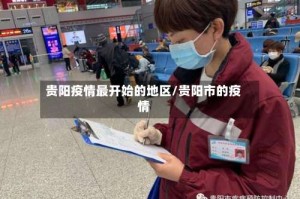 贵阳疫情最开始的地区/贵阳市的疫情