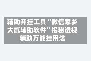 辅助开挂工具“微信家乡大贰辅助软件”揭秘透视辅助万能挂用法