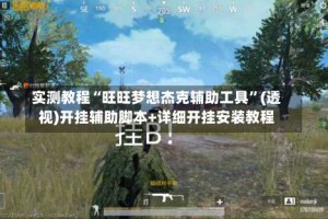 实测教程“旺旺梦想杰克辅助工具”(透视)开挂辅助脚本+详细开挂安装教程