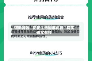 辅助神器“花花生活圈麻将挂”其实确实有挂