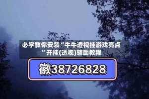 必学教你安装“牛牛透视挂游戏亮点”开挂(透视)辅助教程