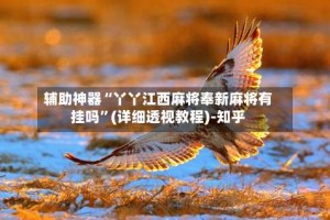 辅助神器“丫丫江西麻将奉新麻将有挂吗”(详细透视教程)-知乎