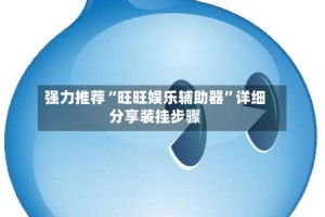 强力推荐“旺旺娱乐辅助器”详细分享装挂步骤