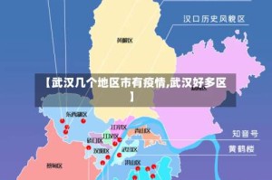 【武汉几个地区市有疫情,武汉好多区】