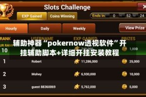 辅助神器“pokernow透视软件”开挂辅助脚本+详细开挂安装教程