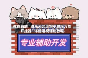 教程辅助“微乐河北麻将小程序万能开挂器”详细透视辅助教程