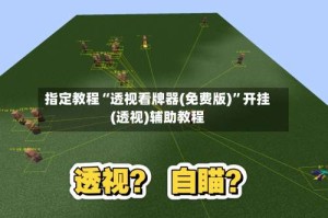 指定教程“透视看牌器(免费版)”开挂(透视)辅助教程