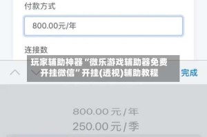 玩家辅助神器“微乐游戏辅助器免费开挂微信”开挂(透视)辅助教程