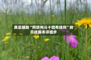 真实辅助“阿坝州斗十四有挂吗”附开挂脚本详细步