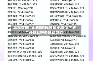 真实辅助“dd辅助器微信小程序下载”开挂(透视)辅助教程