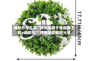 辅助开挂工具“棋悦跑胡子辅助器下载+透视挂!”详细辅助教程分享