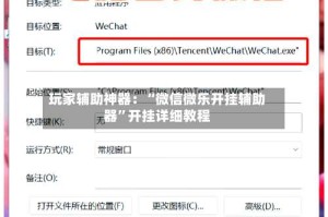玩家辅助神器：“微信微乐开挂辅助器”开挂详细教程
