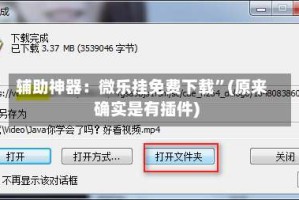 辅助神器：微乐挂免费下载”(原来确实是有插件)