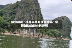 限定福利“桂林字牌开挂辅助器”掌握辅助功能必胜规则