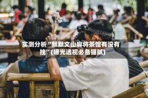 实测分析“默默文山麻将茶馆有没有挂”(曝光透视必备猫腻)