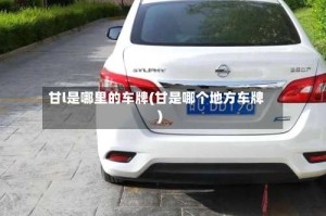 甘l是哪里的车牌(甘是哪个地方车牌)