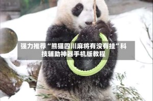 强力推荐“熊猫四川麻将有没有挂”科技辅助神器手机版教程