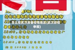 怎么在武汉报备疫情地区(武汉防疫申报)