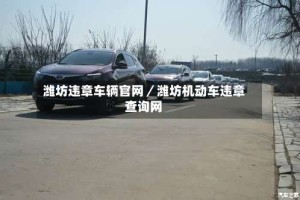 潍坊违章车辆官网／潍坊机动车违章查询网