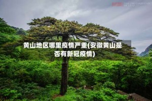 黄山地区哪里疫情严重(安徽黄山是否有新冠疫情)
