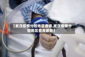 【武汉疫情分险地区查询,武汉疫情分险地区查询最新】