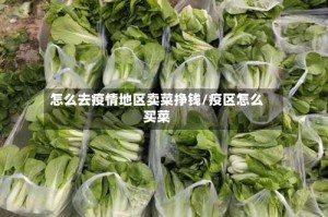 怎么去疫情地区卖菜挣钱/疫区怎么买菜