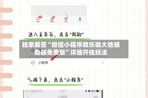 独家解答“微信小程序微乐锄大地辅助器免费版”详细开挂玩法