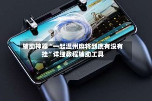 辅助神器“一起温州麻将到底有没有挂”详细教程辅助工具