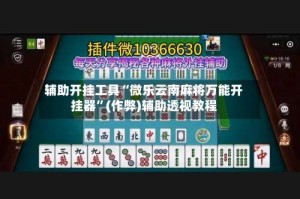 辅助开挂工具“微乐云南麻将万能开挂器”(作弊)辅助透视教程