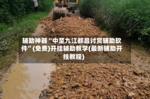 辅助神器“中至九江都昌讨赏辅助软件”(免费)开挂辅助教学(最新辅助开挂教程)