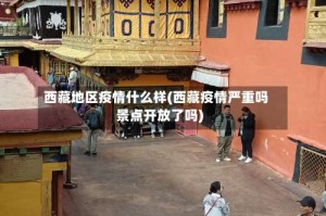 西藏地区疫情什么样(西藏疫情严重吗景点开放了吗)