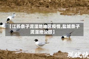 【江苏条子泥湿地地区疫情,盐城条子泥湿地公园】
