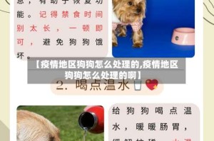 【疫情地区狗狗怎么处理的,疫情地区狗狗怎么处理的啊】