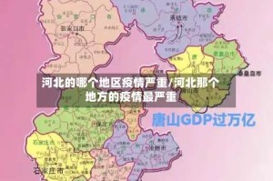 河北的哪个地区疫情严重/河北那个地方的疫情最严重