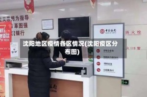 沈阳地区疫情各区情况(沈阳疫区分布图)