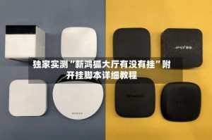 独家实测“新鸿狐大厅有没有挂”附开挂脚本详细教程