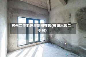 苏州二手毛坯房刚刚在售(苏州出售二手房)