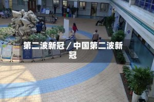 第二波新冠／中国第二波新冠