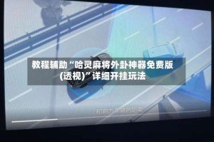 教程辅助“哈灵麻将外卦神器免费版(透视)”详细开挂玩法