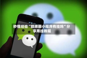 秒懂经验“赣牌圈小程序有挂吗”分享用挂教程