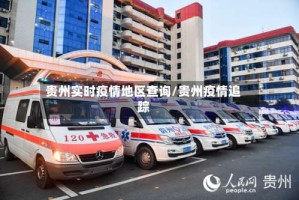 贵州实时疫情地区查询/贵州疫情追踪