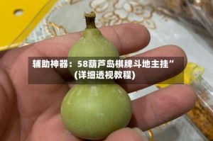 辅助神器：58葫芦岛棋牌斗地主挂”(详细透视教程)