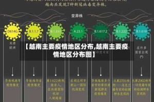 【越南主要疫情地区分布,越南主要疫情地区分布图】