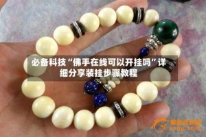 必备科技“佛手在线可以开挂吗”详细分享装挂步骤教程