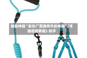 辅助神器“友乐广西麻将外卦神器”(详细透视教程)-知乎