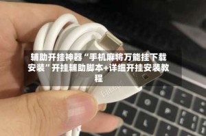 辅助开挂神器“手机麻将万能挂下载安装”开挂辅助脚本+详细开挂安装教程