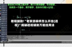教程辅助!“老家游麻将怎么开挂(透视)”揭秘透视辅助万能挂用法